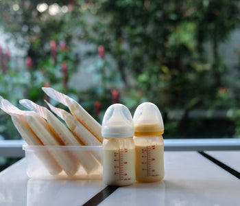 Corporate Breast Pump Rentals | DayOne Baby